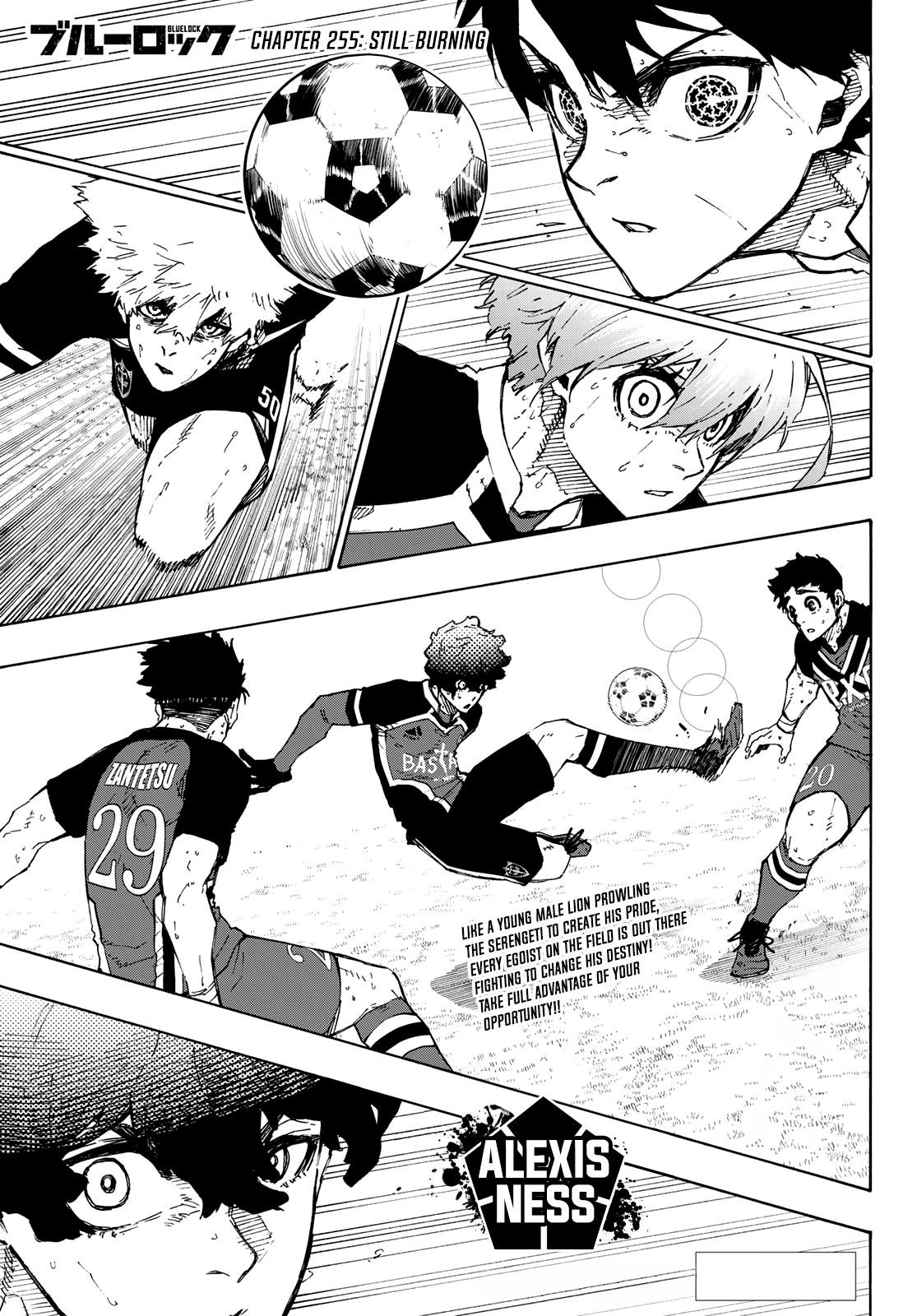 Chapter 255 Image(1)